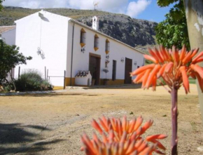 Casa El Castillo Teba